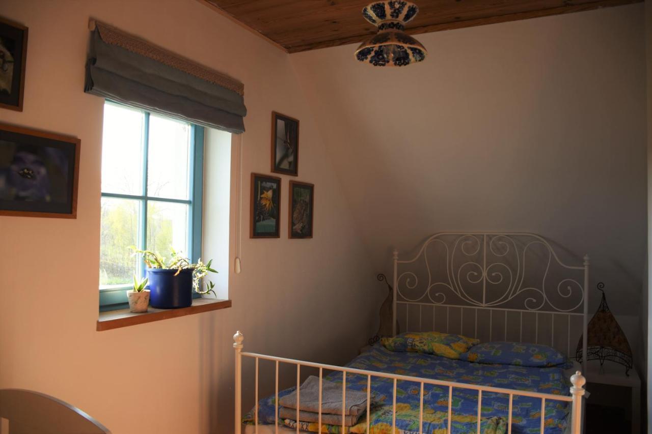 Villa Dom Na Szumiacych Drzew à Debina  Extérieur photo