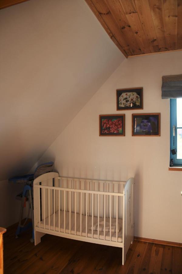 Villa Dom Na Szumiacych Drzew à Debina  Extérieur photo
